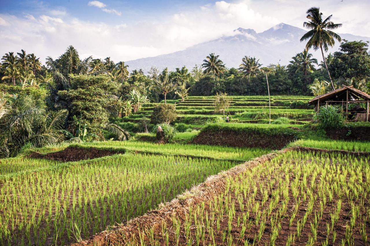 The Endless Summer Resort Bumbang Eksteriør billede